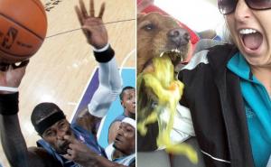 Fotografije nastale sasvim slučajno, a nasmijale su ljude širom svijeta